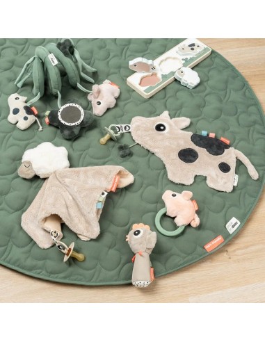 ESPIRAL ACTIVIDADES DONE