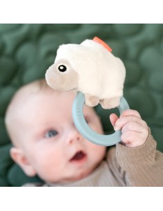 MORDEDOR SENSORIAL DONE 2