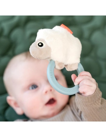 MORDEDOR SENSORIAL DONE